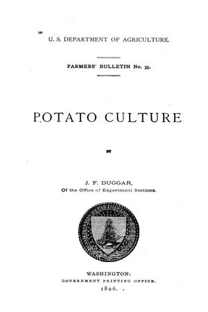 Potato culture.