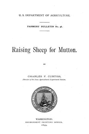 Raising sheep for mutton.