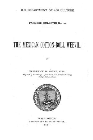 The Mexican Cotton-Boll Weevil.