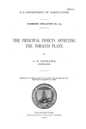 The principal insects affecting the tobacco plant.