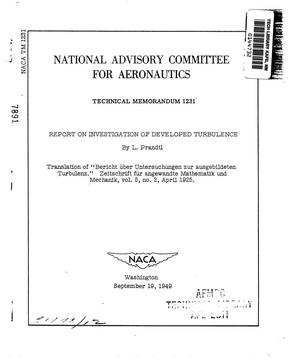 Report on Investigation of Developed Turbulence
