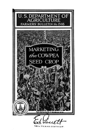 Marketing the cowpea seed crop.