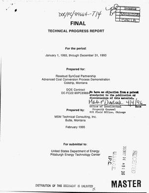 Advanced Coal Conversion Process Demonstration Project. Technical progress report, January 1, 1993--December 31, 1993