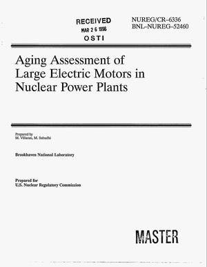 Primary view of object titled 'Aging assessment of large electric motors in nuclear power plants'.