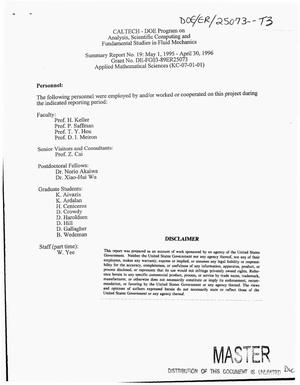 Analysis, scientific computing and fundamental studies in fluid mechanics. Summary report number 19, May 1, 1995--April 30, 1996