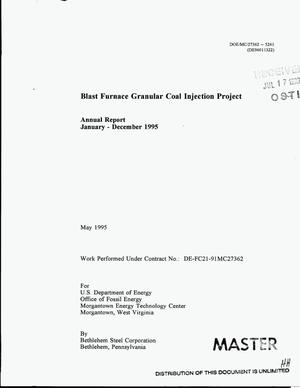 Blast furnace granular coal injection project. Annual report, January--December 1995