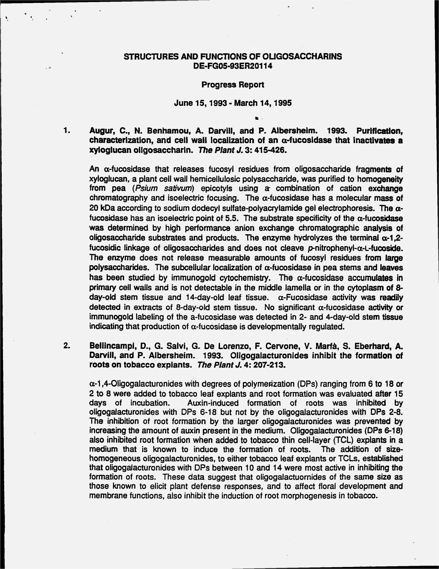 Structures and functions of oligosaccharins. Progress report, June 15, 1993--March 14, 1995
                                                
                                                    [Sequence #]: 4 of 8
                                                