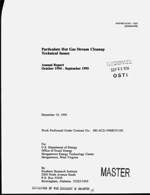 Particulate hot gas stream cleanup technical issues. Annual report, October 1994--September 1995