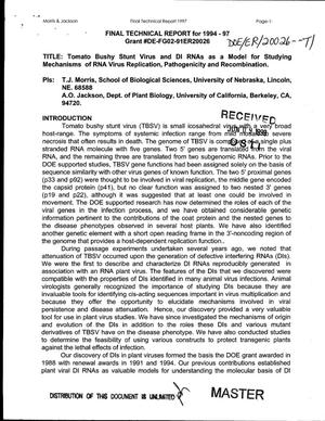 Tomato bushy stunt virus and DI RNAs as a model for studying mechanisms of RNA virus replication, pathogenicity and recombination. Final technical report for 1994--1997