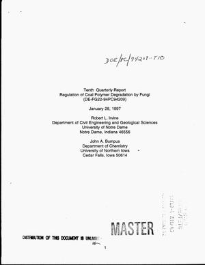 Regulation of coal polymer degradation by fungi. Tenth Quartery report, October 1996--December 1996