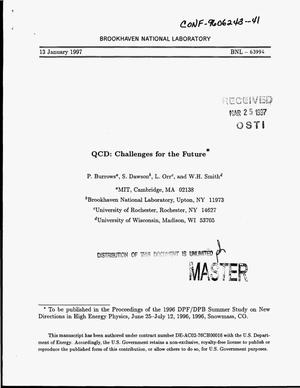 QCD: Challenges for the future