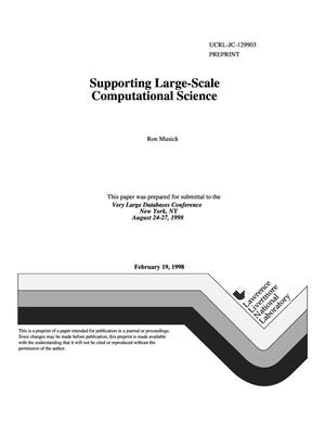 Supporting large-scale computational science