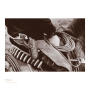 Thumbnail image of item number 3 in: 'Charreada: Mexican Rodeo in Texas'.