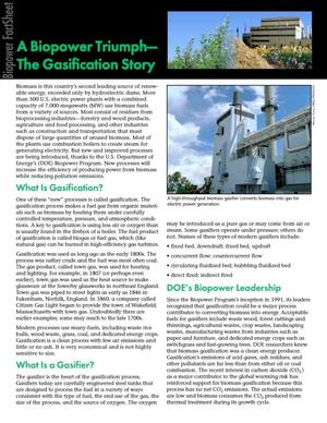 A biopower triumph -- The gasification story