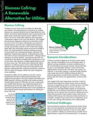 Biomass co-firing: A renewable alternative for utilities