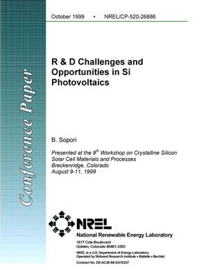 R and D challenges and opportunities in Si photovoltaics