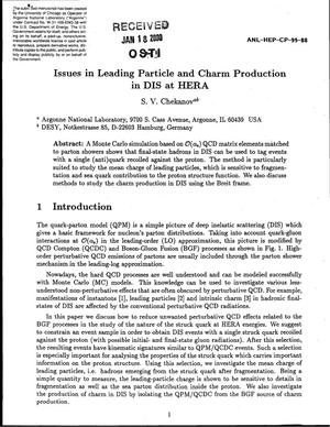 Issues in leading particle and charm production in DIS at HERA.