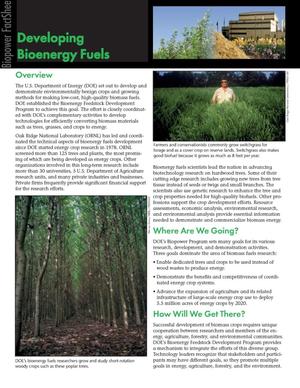 Developing bioenergy fuels: Biopower fact sheet