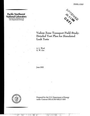 Vadose zone transport field study: Detailed test plan for simulated leak tests