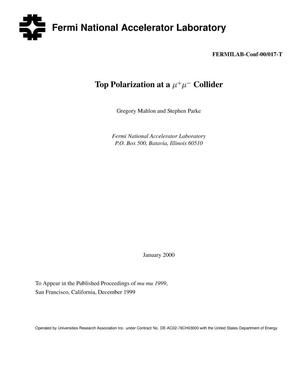 Top polarization at a {mu}{sup +} {mu}{sup {minus}} collider