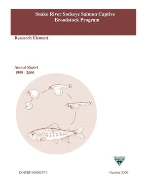 Snake River Sockeye Salmon Captive Broodstock Program : Research Element : Project Progress Report, 1999.