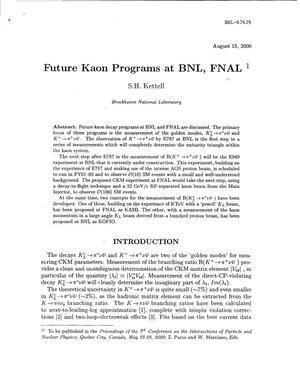 Future Kaon Programs at BNL, FNAL.