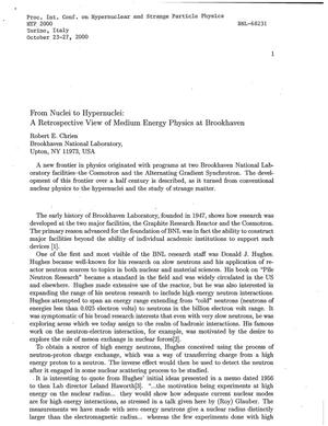 From nuclei to hypernuclei: A retrospective view of medium energy physics at Brookhaven