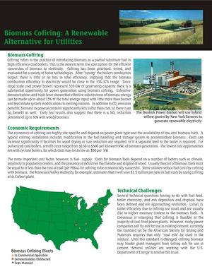 Biomass Cofiring: A Renewable Alternative for Utilities (Fact sheet)