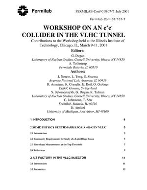 Contributions to the Workshop on an e+e- collider in the VLHC tunnel