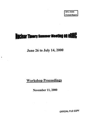 Nuclear theory summer meeting on ERHIC