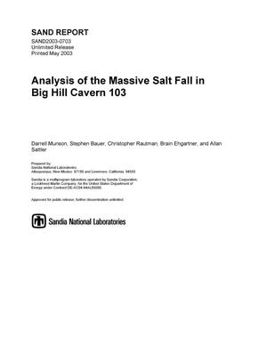 Analysis of the Massive Salt Fall in Big Hill Cavern 103