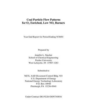 COAL PARTICLE FLOW PATTERNS FOR O2 ENRICHED, LOW NOx BURNERS