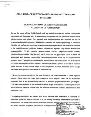 Cell surface glycoconjugates of Rhizobium and symbiosis