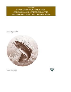 Evaluation of Juvenile Fall Chinook Salmon Stranding on the Hanford Reach of the Columbia River, 1999 Annual Report.