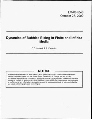 Dynamics of Bubbles Rising in Finite and Infinite Media