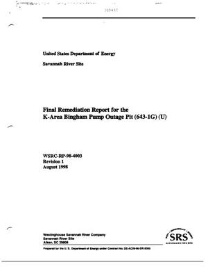 Final Remediation Report for the K-Area Bingham Pump Outage Pit (643-1G)