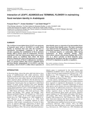 Interaction of LEAFY, AGAMOUS, and TERMINAL FLOWER1 in maintaining floral identity in Arabidopsis