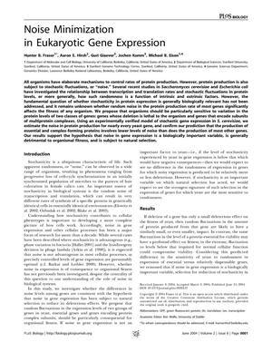 Noise minimization in eukaryotic gene expression