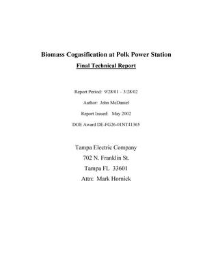BIOMASS COGASIFICATION AT POLK POWER STATION