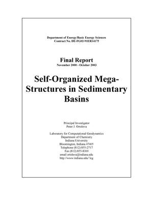 Self-Organized Megastructures in Sedimentary Basins