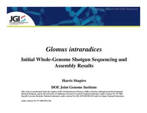 Glomus intraradices: Initial Whole-Genome Shotgun Sequencing and Assembly Results
