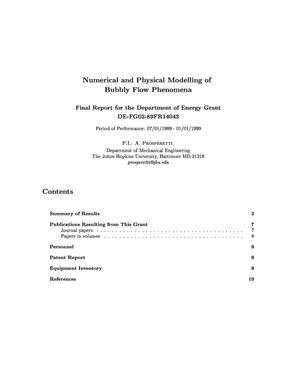 Numerical and Physical Modelling of Bubbly Flow Phenomena - Final Report to the Department of Energy
