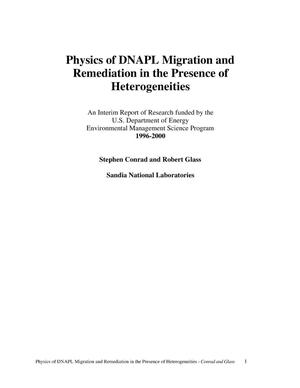 Physics of DNAPL Migration and Remediation in the Presence of Heterogeneities