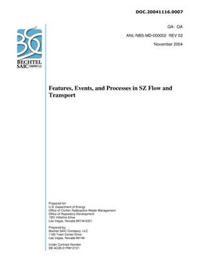 Features, Events, and Processes in SZ Flow and Transport