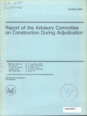 Report of the Advisory Committee on Construction During Adjudication