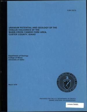 Uranium Potential and Geology of the Challis Volcanics of the Basin Creek-Yankee Fork Area, Custer County, Idaho: Final Report