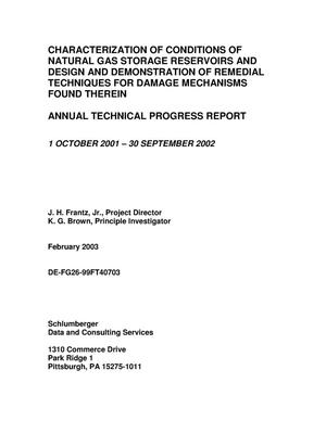 Characterization of conditions of natural gas storage reservoirs and design and demonstration of remedial techniques for damage mechanisms found therein