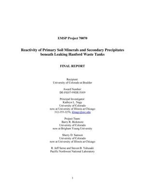 EMSP Project 70070: Reactivity of Primary Soil Minerals and Secondary Precipitates Beneath Leaking Hanford Waste Tanks - Final Report