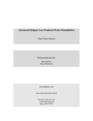 Primary view of object titled 'Advanced Stripper Gas Produced Water Remediation: Final Project Report'.