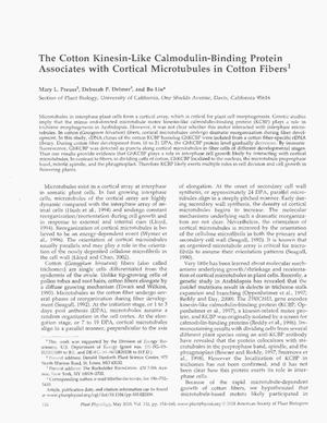 The Cotton Kinesin-Like Calmodulin-Binding Protein Associates with Cortical Microtubles in cotton Fibers